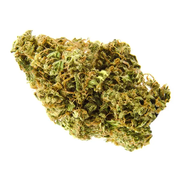 Bud image for Sour Kush, cannabis dried flower by Divvy
