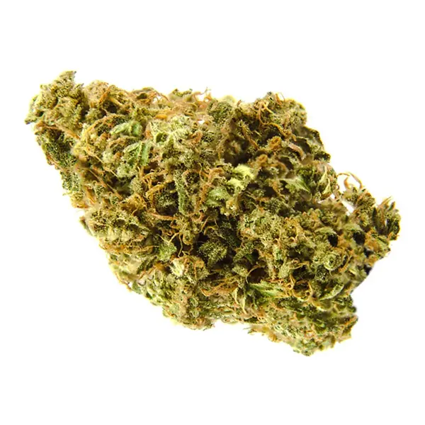 Bud image for Sour Kush, cannabis all categories by Divvy