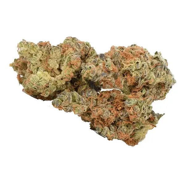 Bud image for Sour Strawberry Kush, cannabis dried flower by NESS