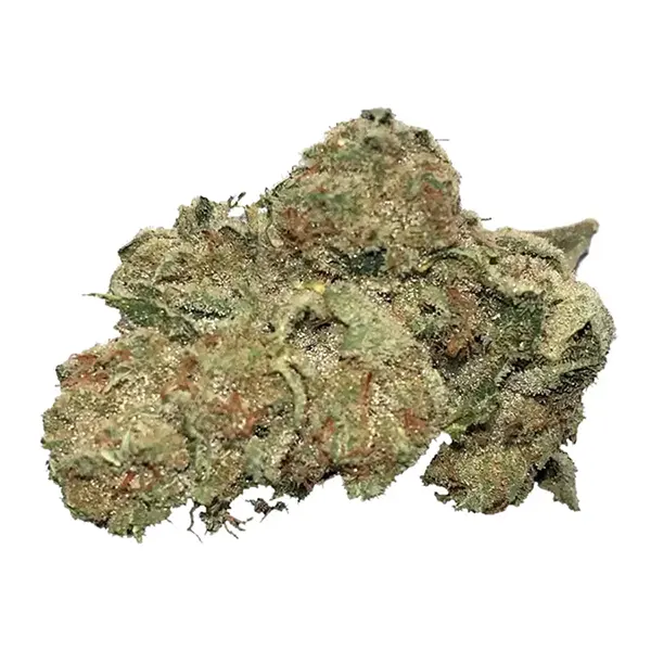 Bud image for Stinky Greens Organic Sticky Larry, cannabis dried flower by Artisan Batch