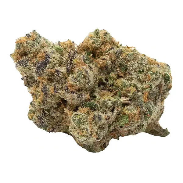 Bud image for Stonefruit Sunset, cannabis dried flower by San Rafael '71