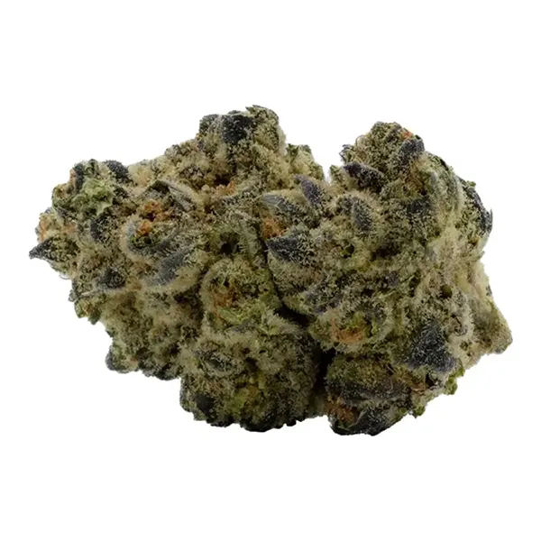 Bud image for Stuffed French Toast, cannabis all categories by Qwest