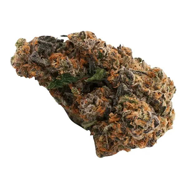 Bud image for Sundae Driver, cannabis dried flower by Citizen Stash