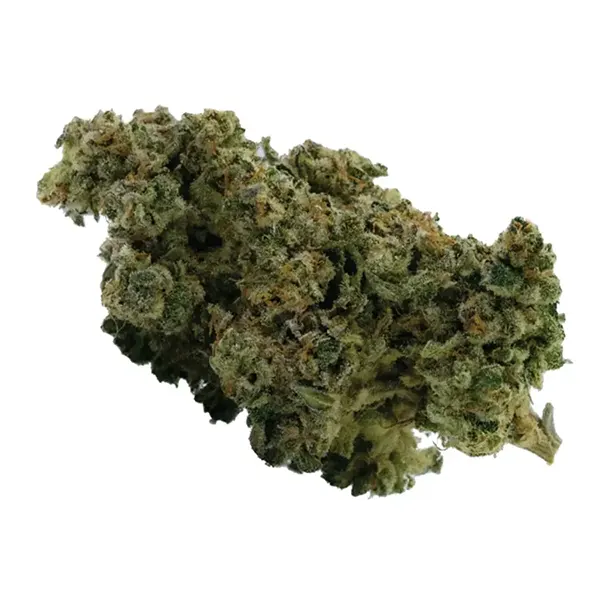 Bud image for Sunset MAC, cannabis all categories by Qwest Reserve