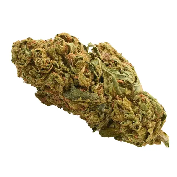 Bud image for Super Lemon Haze, cannabis dried flower by Solei