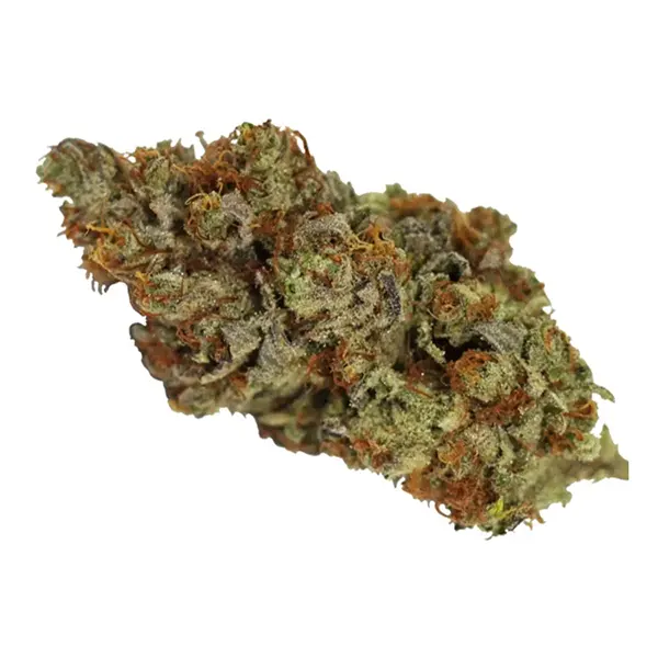 Tangerine Cookie..