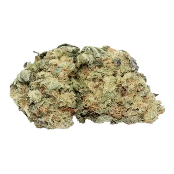 Product image for Tangerine Dream, Cannabis Flower by Royal Cannabis Supply