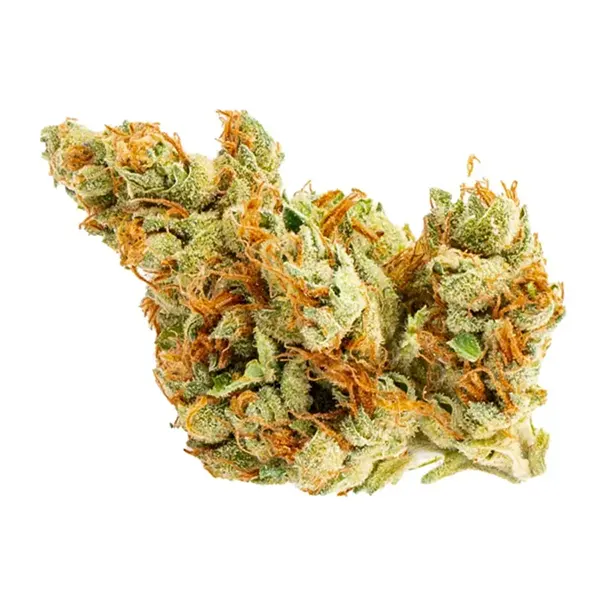 Bud image for Tangie Green, cannabis dried flower by Good Supply