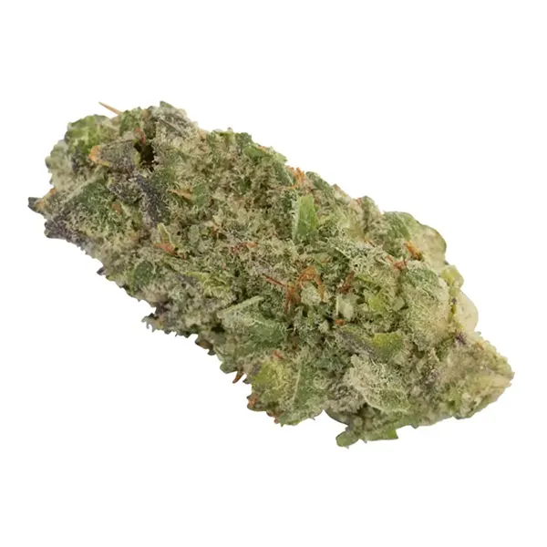 Bud image for The Silverback #4, cannabis dried flower by Wagners