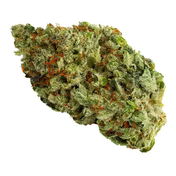 Bud image for The Vision, cannabis dried flower by Bold Growth