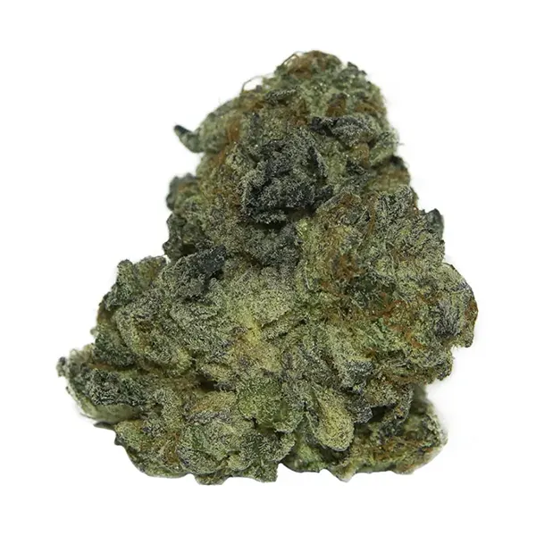 Product image for Tropical Gelato, Cannabis Flower by The Wild Florist