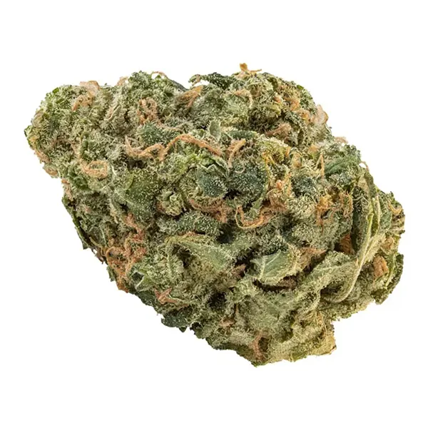 Bud image for Ultra Sour, cannabis dried flower by Big Bag O Buds