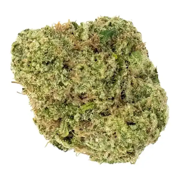 Bud image for Wappa 49, cannabis all categories by 7Acres