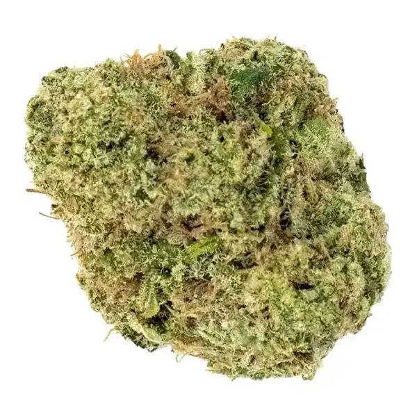 Bud image for Wappa 49, cannabis dried flower by 7Acres