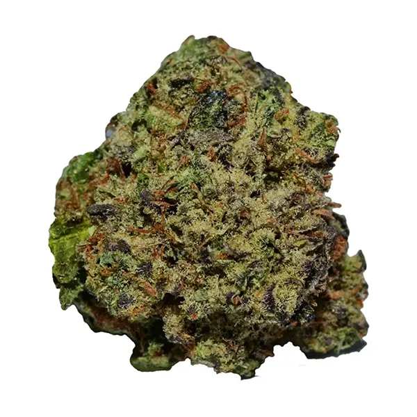 Plant Bud by Weed Me