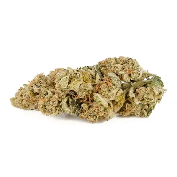 Bud image for Wedding Pie, cannabis dried flower by Back Forty