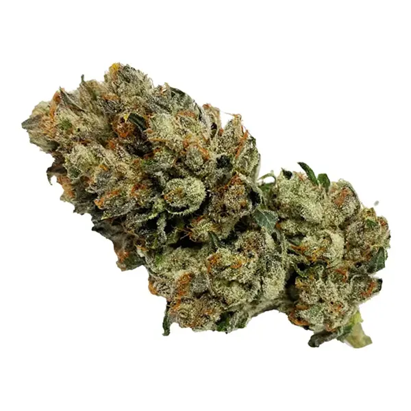 Bud image for Wedding Poop, cannabis all categories by BC Green