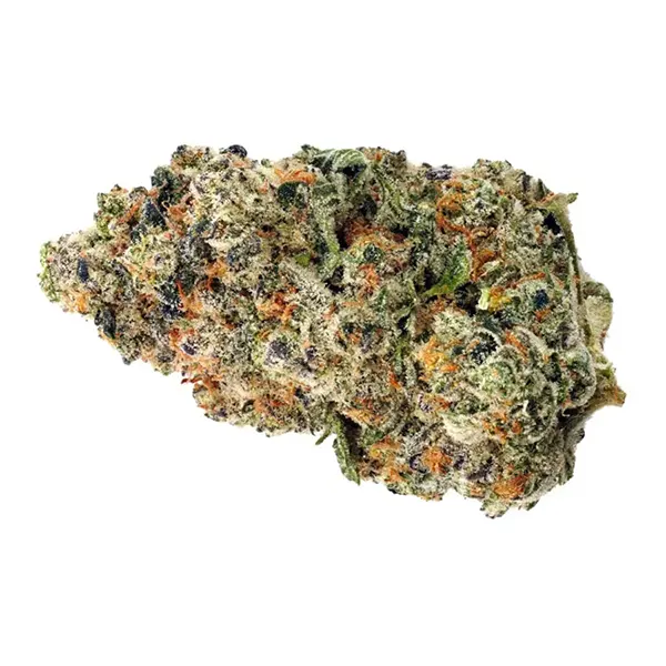 Bud image for White Lightning, cannabis dried flower by Highland Grow