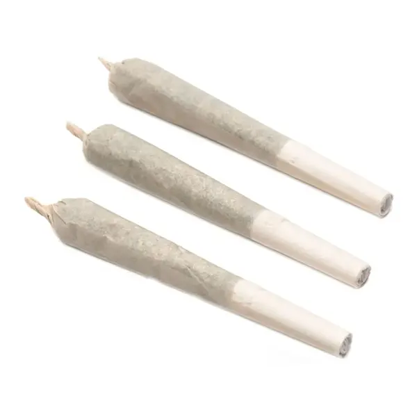 24k Gold Pre-Roll (Pre-Rolls) by Namaste