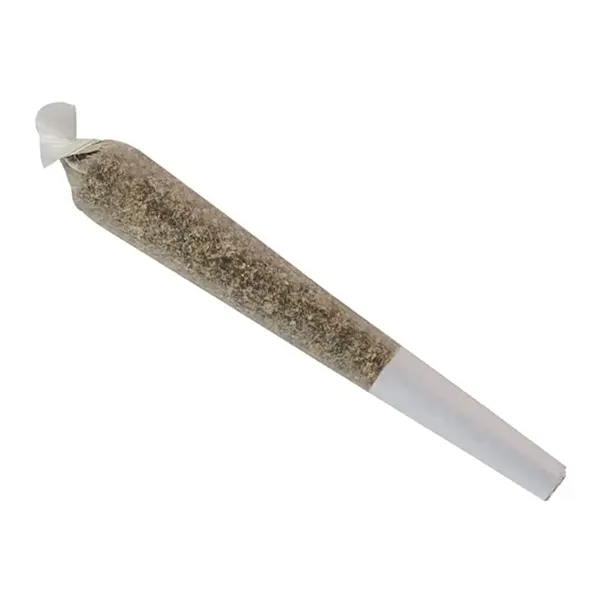 Blueberry Kush P..