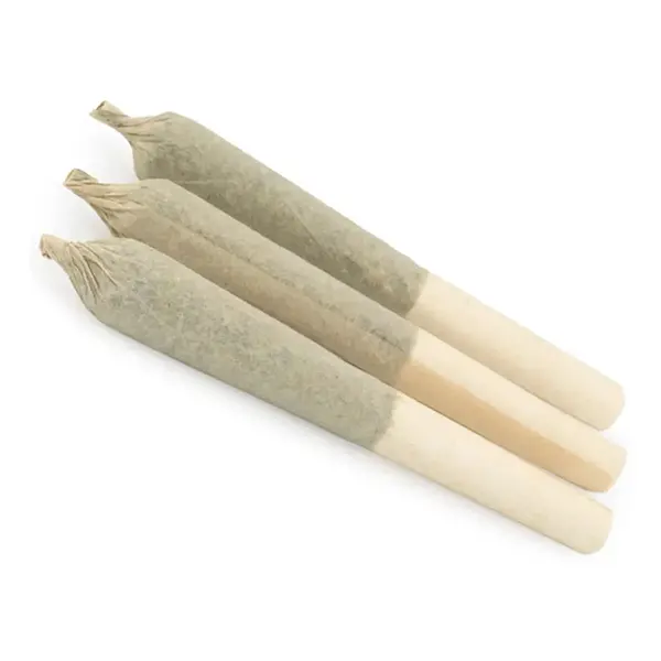 Image for Blue Nova Pre-Roll, cannabis all categories by Sundial