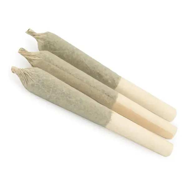 Image for Blue Nova Pre-Roll, cannabis pre-rolls by Sundial