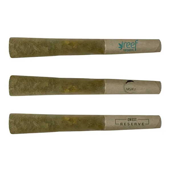 Image for Cannabis Collections: Craft Select - Coast to Coast Pre-Roll, cannabis all categories by AHLOT