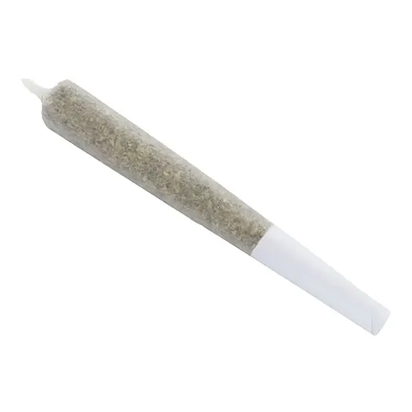 Cherry Jam Joints Pre-Roll (Pre-Rolls) by Wagners