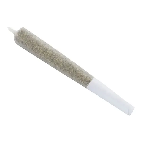 Product image for Cherry Jam Joints Pre-Roll, Cannabis Flower by Wagners