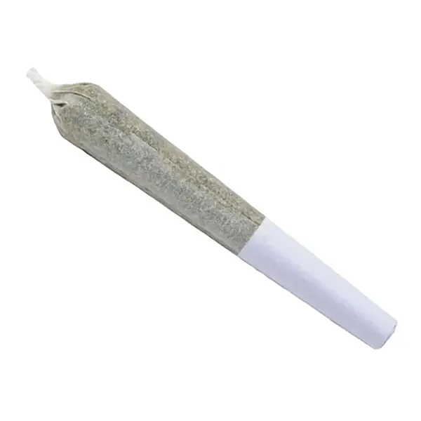 Garlic Cookies Pre-Roll (Pre-Rolls) by CALI