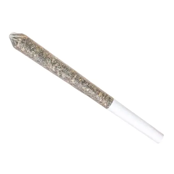 GG#4 Pre-Roll (Pre-Rolls) by Station House