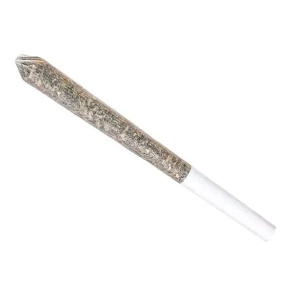 Image for GG#4 Pre-Roll, cannabis all categories by Station House