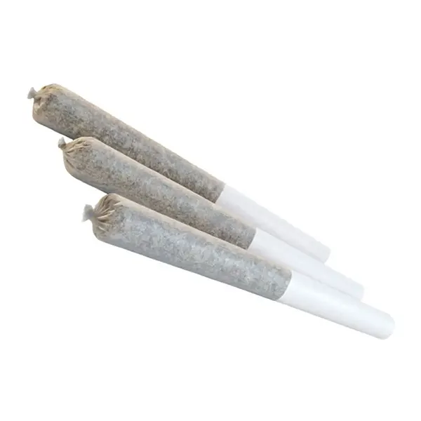 Image for GMO Cookies Pre-Roll, cannabis pre-rolls by Edison