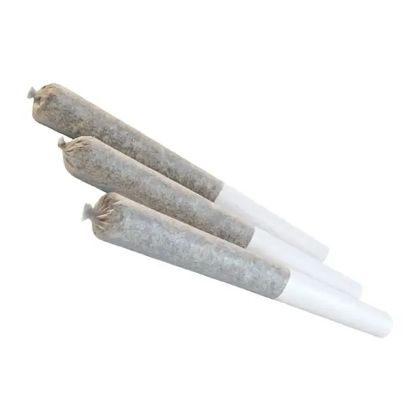 GMO Cookies Pre-Roll (Pre-Rolls) by Edison