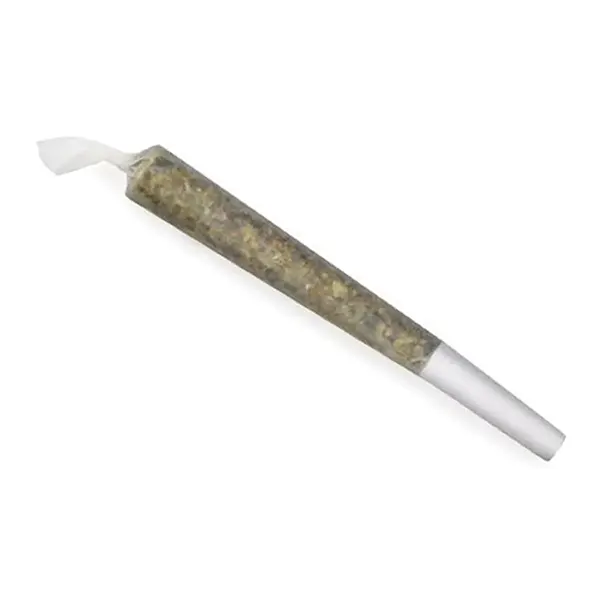 GMO Cookies Pre-Roll (Pre-Rolls) by Spinach