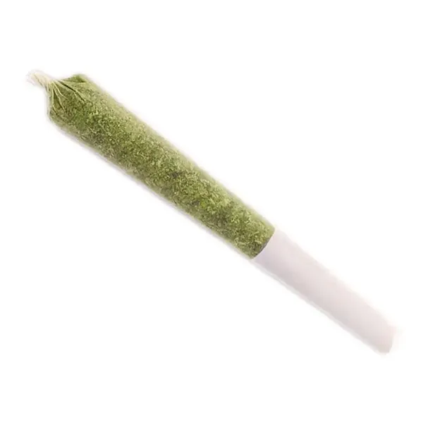 Image for ICC x Kush Mints 11 Pre-Roll, cannabis all products by MSIKU