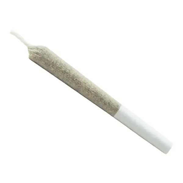 Indica Js Pre-Roll