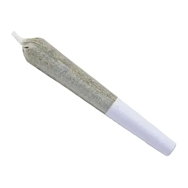 Image for King Tut Pre-Roll, cannabis all categories by 1Spliff