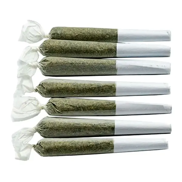 Kootenay Fruit Pre-Roll (Pre-Rolls) by General Admission