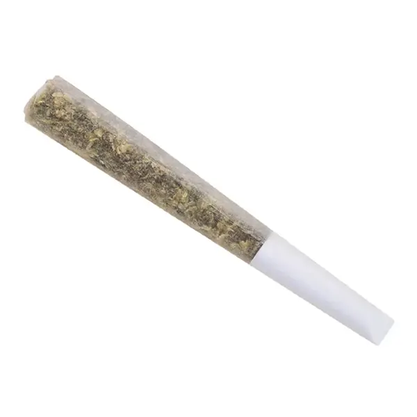 Image for Magic Mint Pre-Roll, cannabis all flower by The Wild Florist
