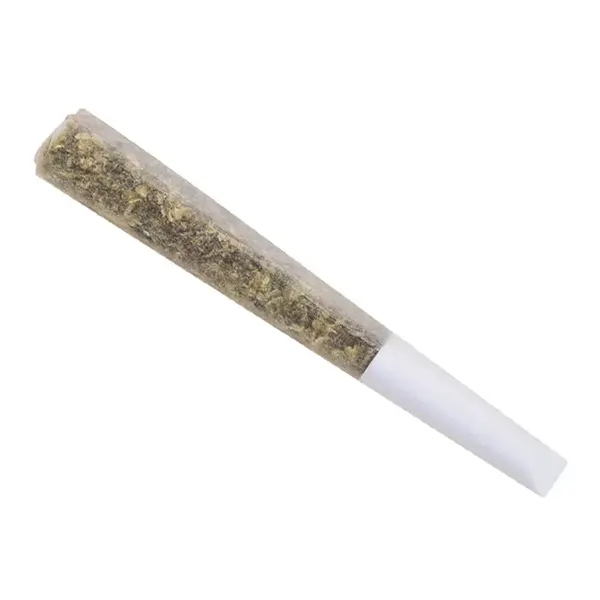 Magic Mint Pre-Roll (Pre-Rolls) by The Wild Florist