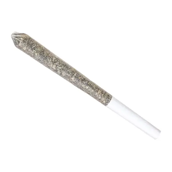 Image for Mandarin Cookie Pre-Roll, cannabis pre-rolls by Station House