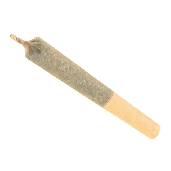 Image for No. 427 Retrograde Pre-Roll, cannabis pre-rolls by FIGR