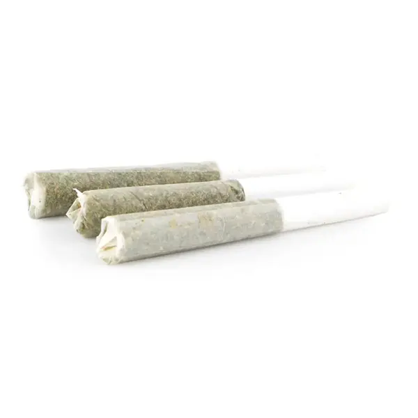 Oregon Golden Goat Pre-Roll (Pre-Rolls) by Top Leaf