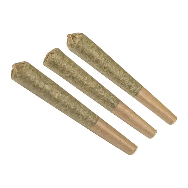 Primal Punch Pre-Roll
