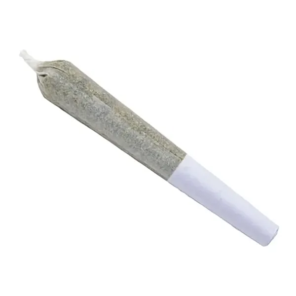 Product image for Purple Aya Pre-Roll, Cannabis Flower by 1Spliff