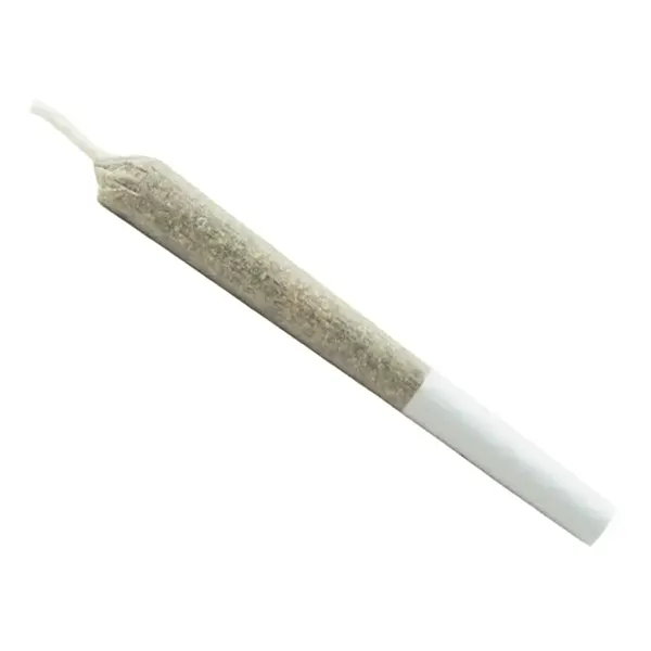 Sativa Js Pre-Ro..