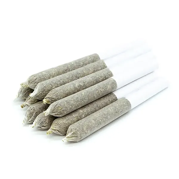 Image for Shelter Craft Organnicraft Nitro Cookies Pre-Roll, cannabis pre-rolls by Organnicraft