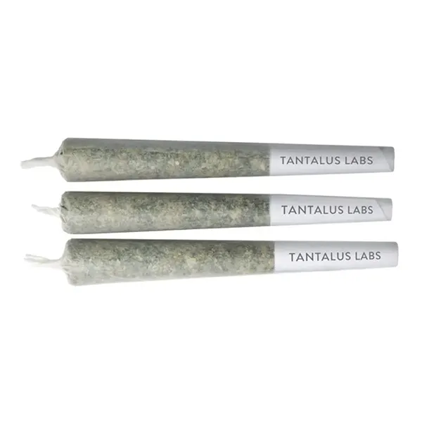 Image for Slurri Crasher Pre-Roll, cannabis pre-rolls by Tantalus Labs
