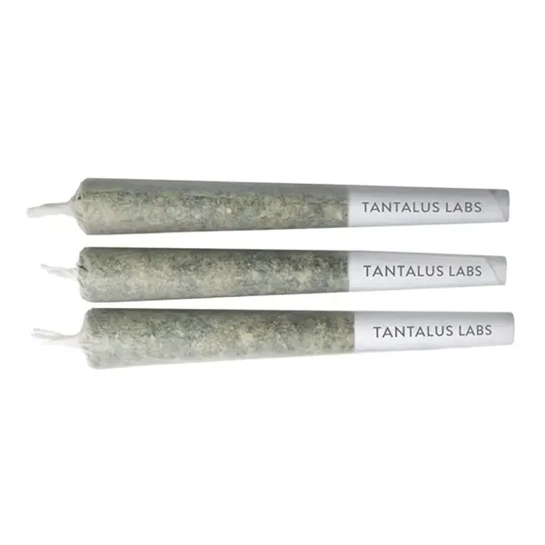 Slurri Crasher Pre-Roll (Pre-Rolls) by Tantalus Labs